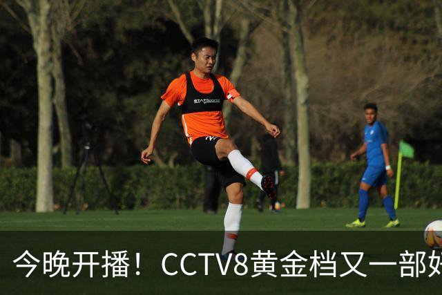 今晚开播！CCTV8黄金档又一部好剧来袭！全部实力派演员领衔
