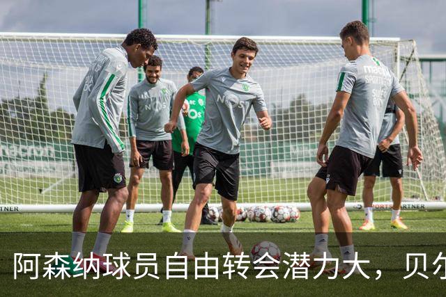 阿森纳球员自由转会潜力大，贝尔塔的挑战来啦！
